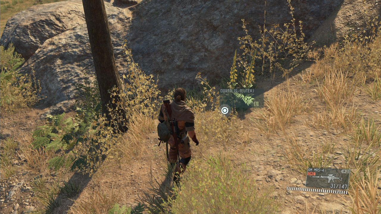 Mgs5 赤道のウォーカーギア ジギタリス ルテア の場所 攻略 Mgs5プレイ日記