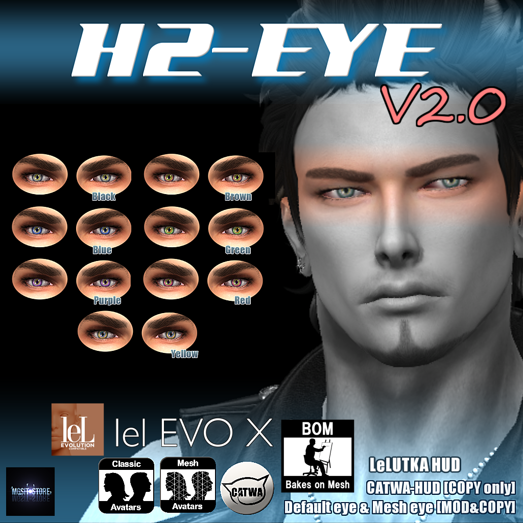 MGSIT STORE H EYE Update