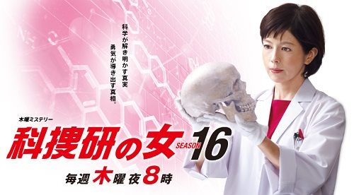 科捜研の女 シーズン16 4話 ネタバレ感想 女子大生刺殺事件 豆乳と猫とエルドビア 探偵モノ語り 科捜研の女 シーズン16 4話 ネタバレ感想 女子大生刺殺事件 豆乳と猫とエルドビア 探偵モノ語り