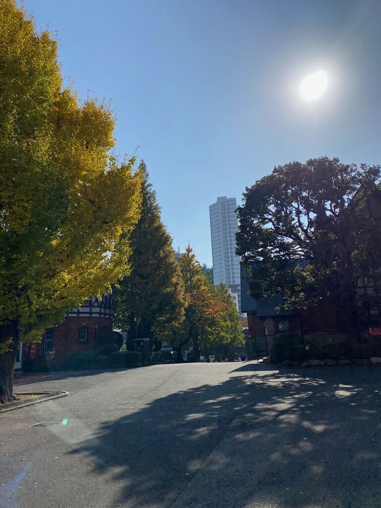自己推薦ao入試 終了しました 明治学院大学法学部 公式ブログ 自己推薦ao入試 終了しました 明治学院大学法学部 公式ブログ