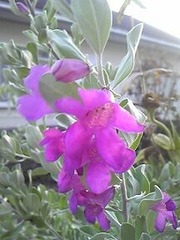 201025_165504