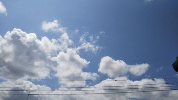 DSC_0467