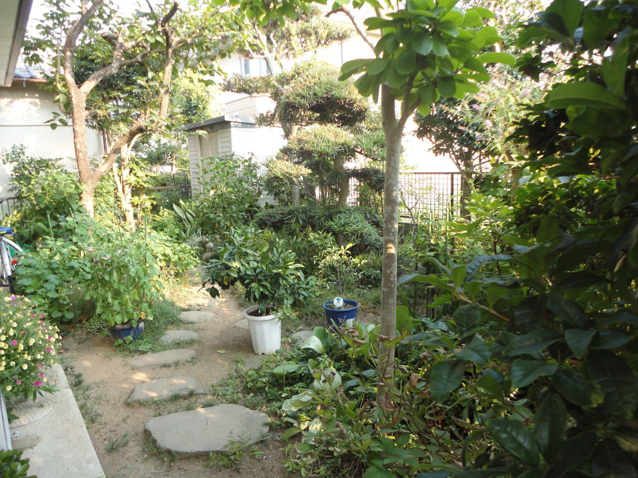 DSC00624