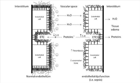 vcm_s_kf_representative_640x377
