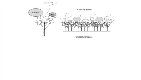vcm_s_kf_representative_640x365