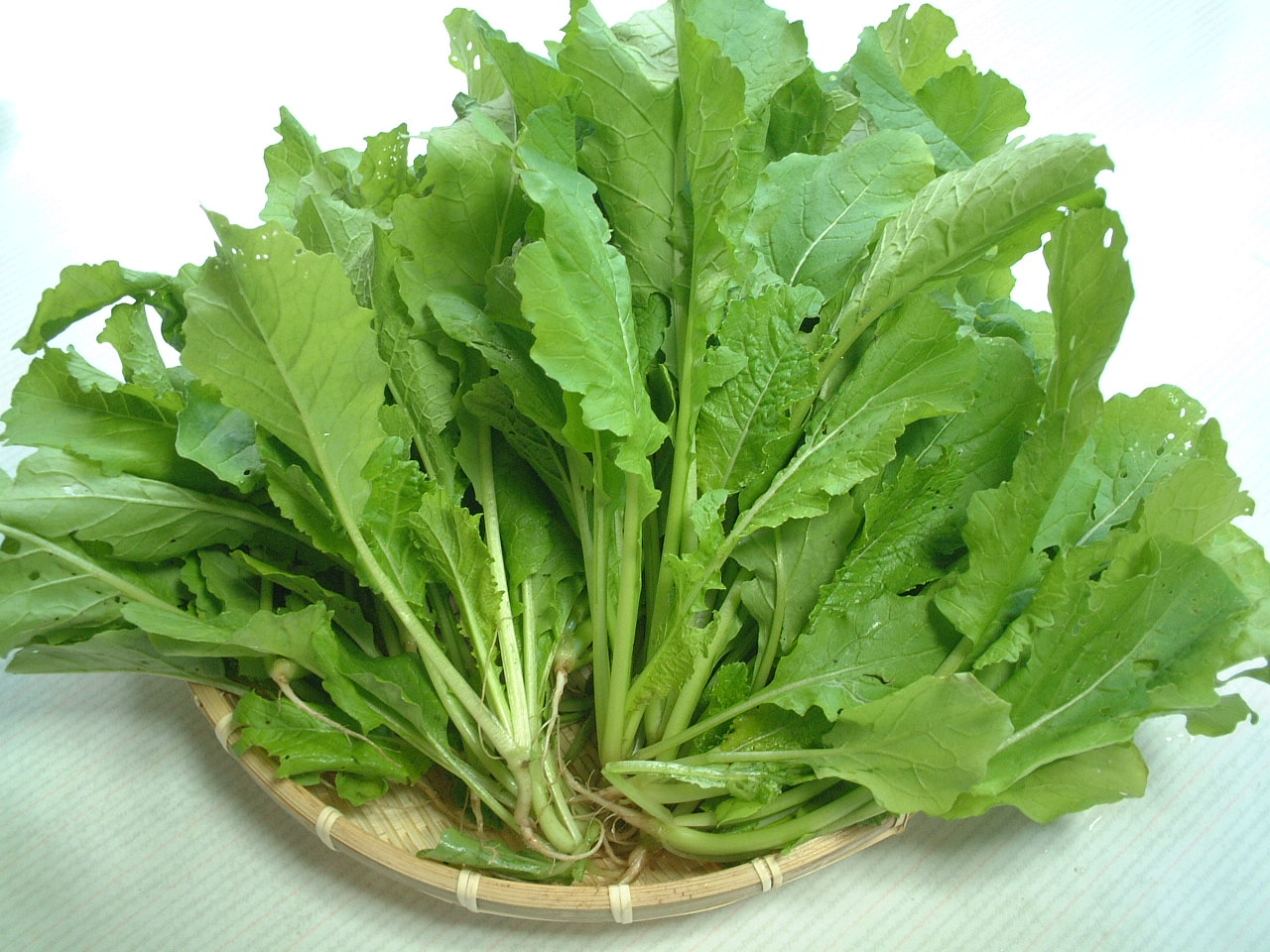 野沢菜の間引き菜で 小さなやさい畑