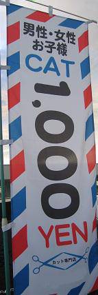 143x428x1d631b23c225fddc8196b299