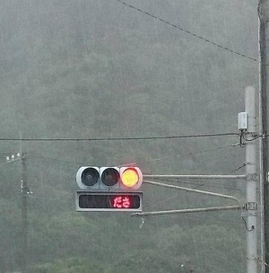 480x486xe0330d24bcd454c099abfda3