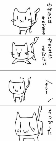 278x700x29fe0ef5d1c9df3483ff1fed