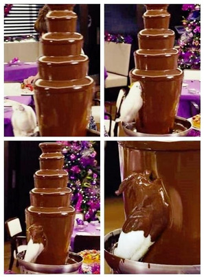 524x705x463d4ee458579330406f54cc