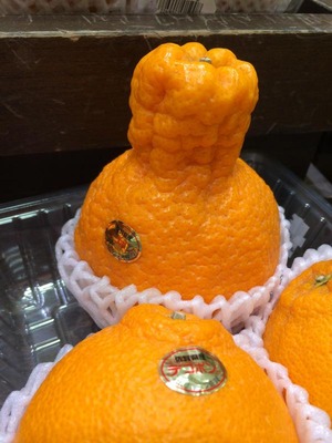 600x800x082d844f14fd5c6976999624