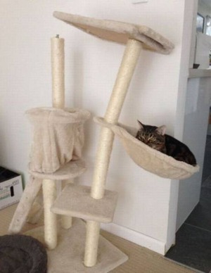 464x600xf4b9f4e6f063c1e1c4280344