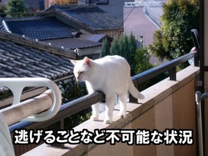 560x420x220bff6767709cb2d1f1b82b