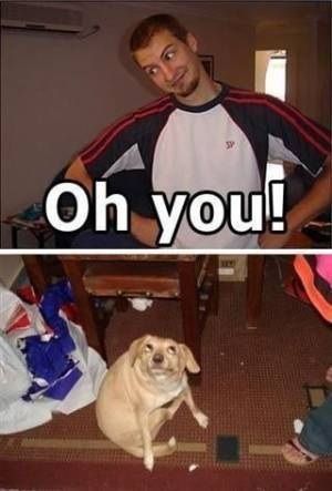 300x443x77e474f3eb263e9355b3e3ef