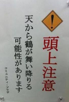 273x403xa6e4433640862dd88e2513d3