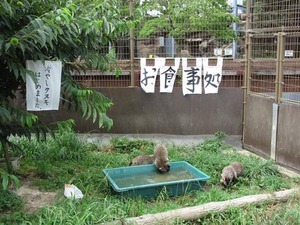 480x360xecda689d48f5d39b028be67c