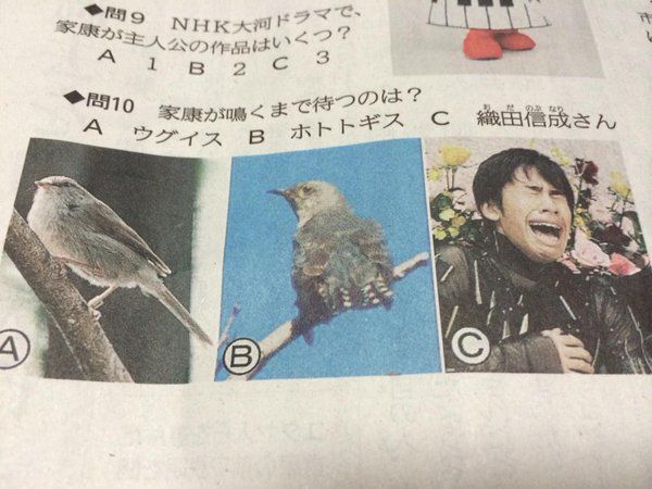 おもしろ画像 小一時間笑える画像 81 ミーハー総研 ミーハー総合研究所 おもしろ画像 小一時間笑える画像 81 ミーハー総研 ミーハー総合研究所