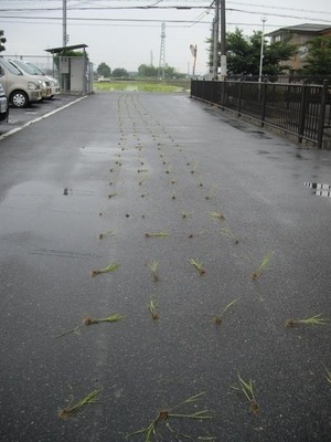 480x640xf39abd92bb10713feacec213