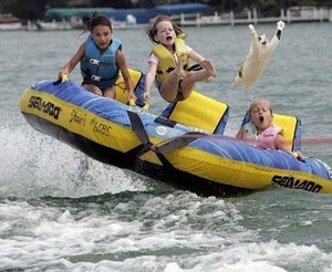 500x410x6ac3637038c5444fcb4af4b1