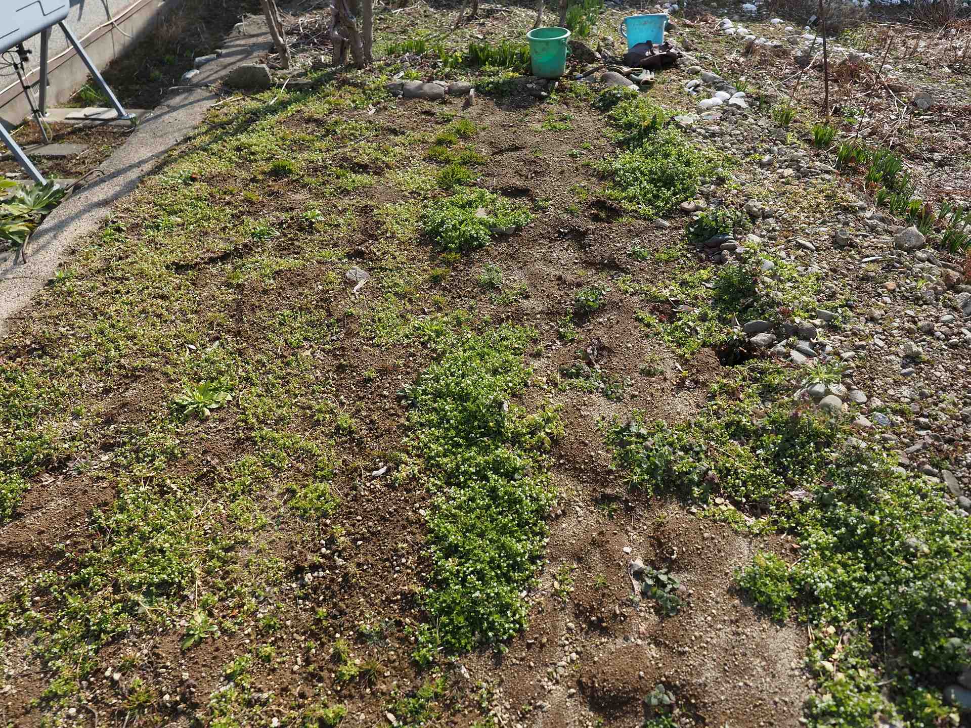 日の出 土起こし作業開始 フキノトウ 夢の 楽園生活 の維持を目指して
