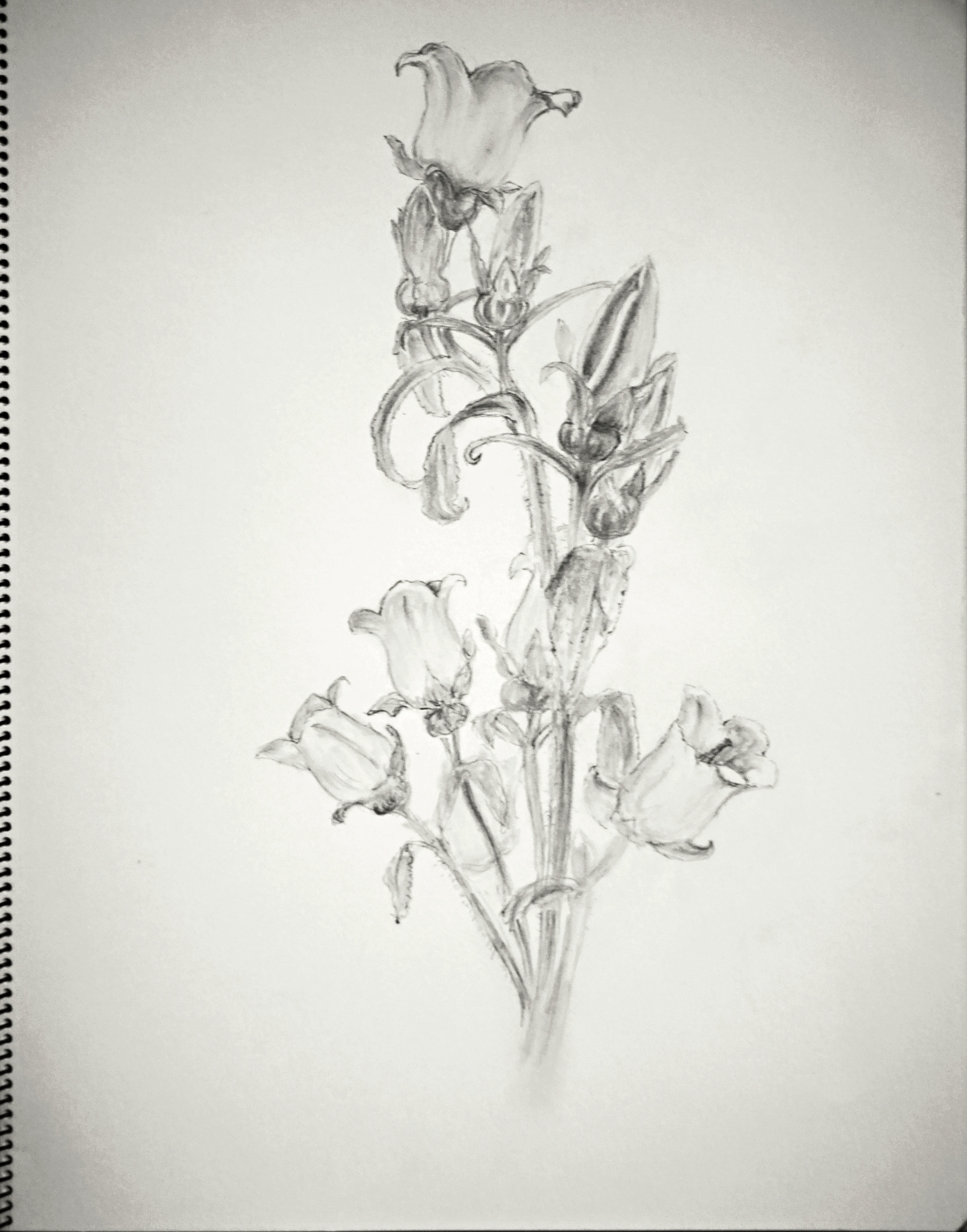 基礎デッサン教室 楽園生活 の維持を目指して