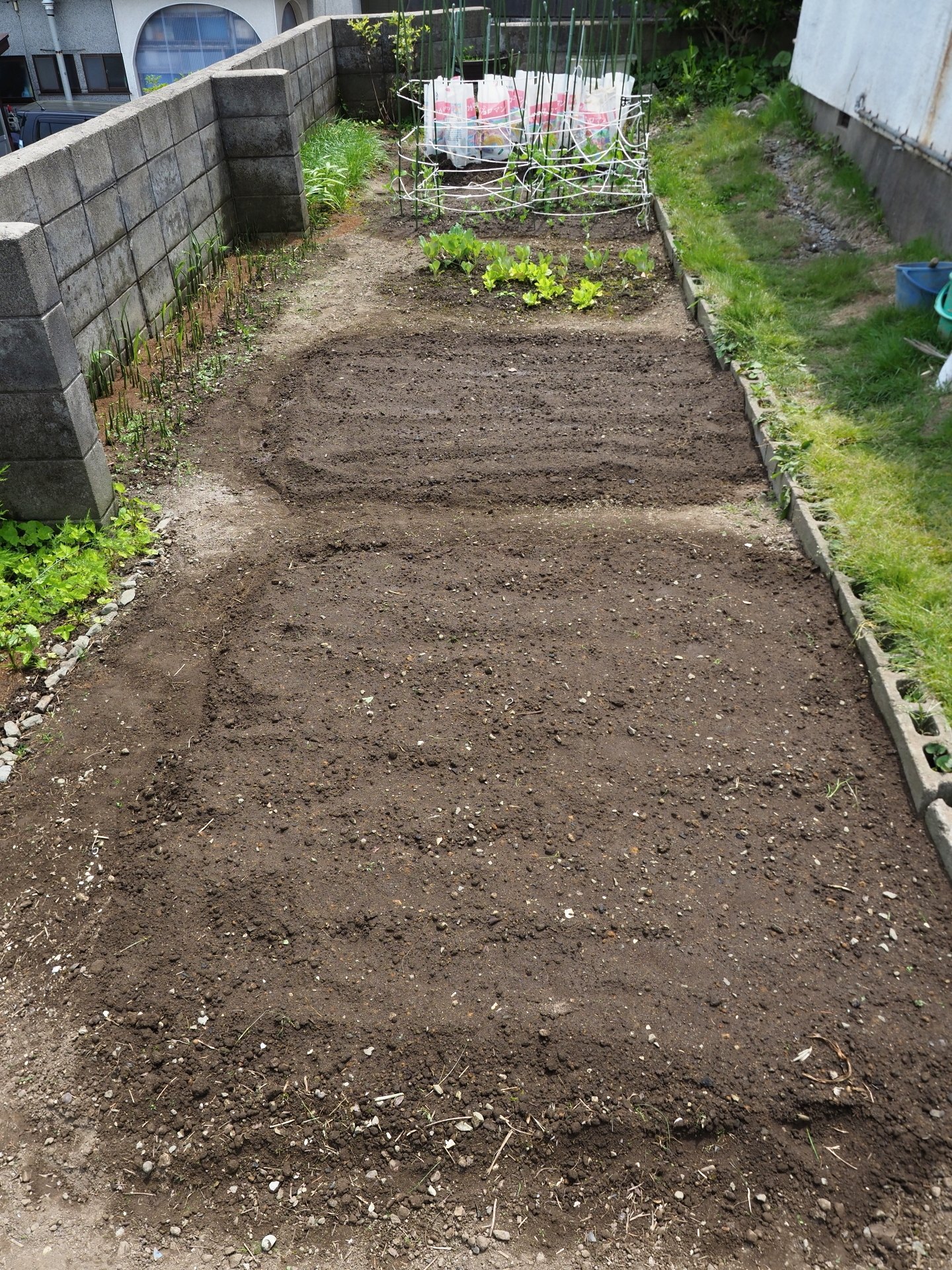 鉛筆デッサン 楽園生活 の維持を目指して