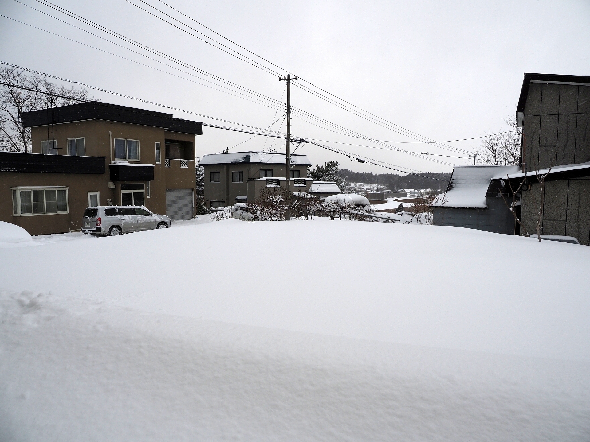 天気予報外れ 油彩 楽園生活 の維持を目指して 天気予報外れ 油彩 楽園生活 の維持を目指して
