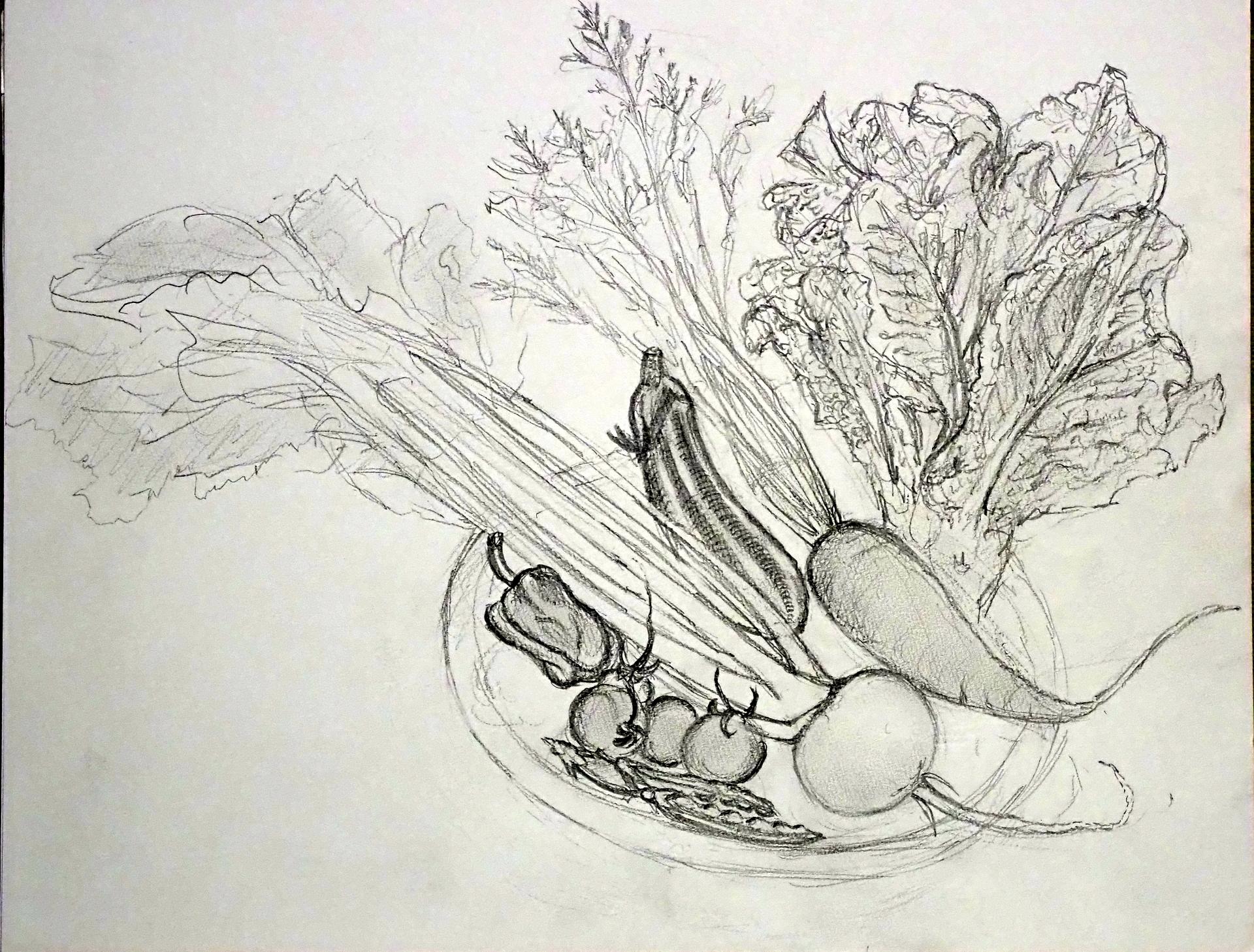 デッサン教室 楽園生活 の維持を目指して