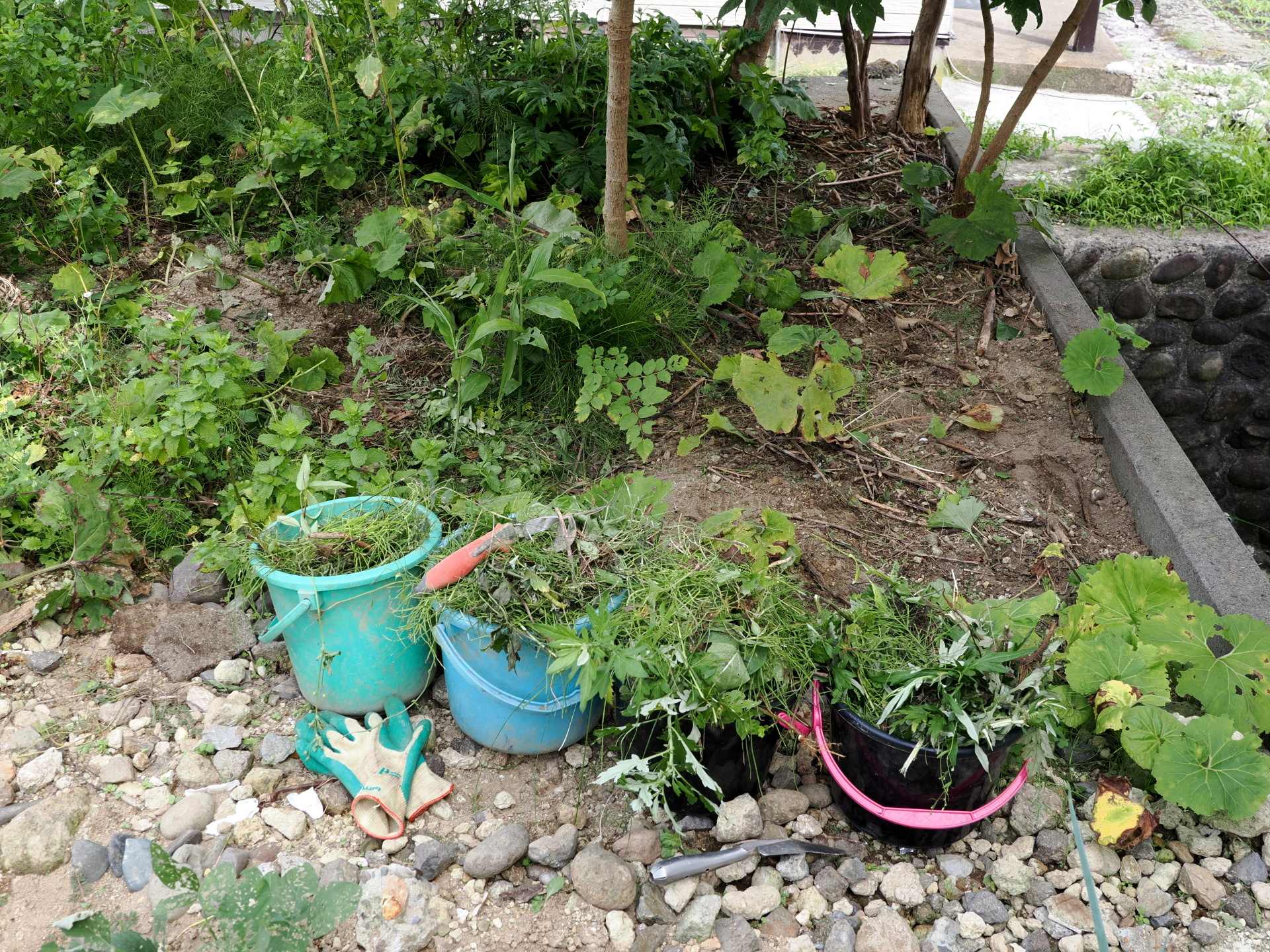 雑草取り 電子ブック 楽園生活 の維持を目指して