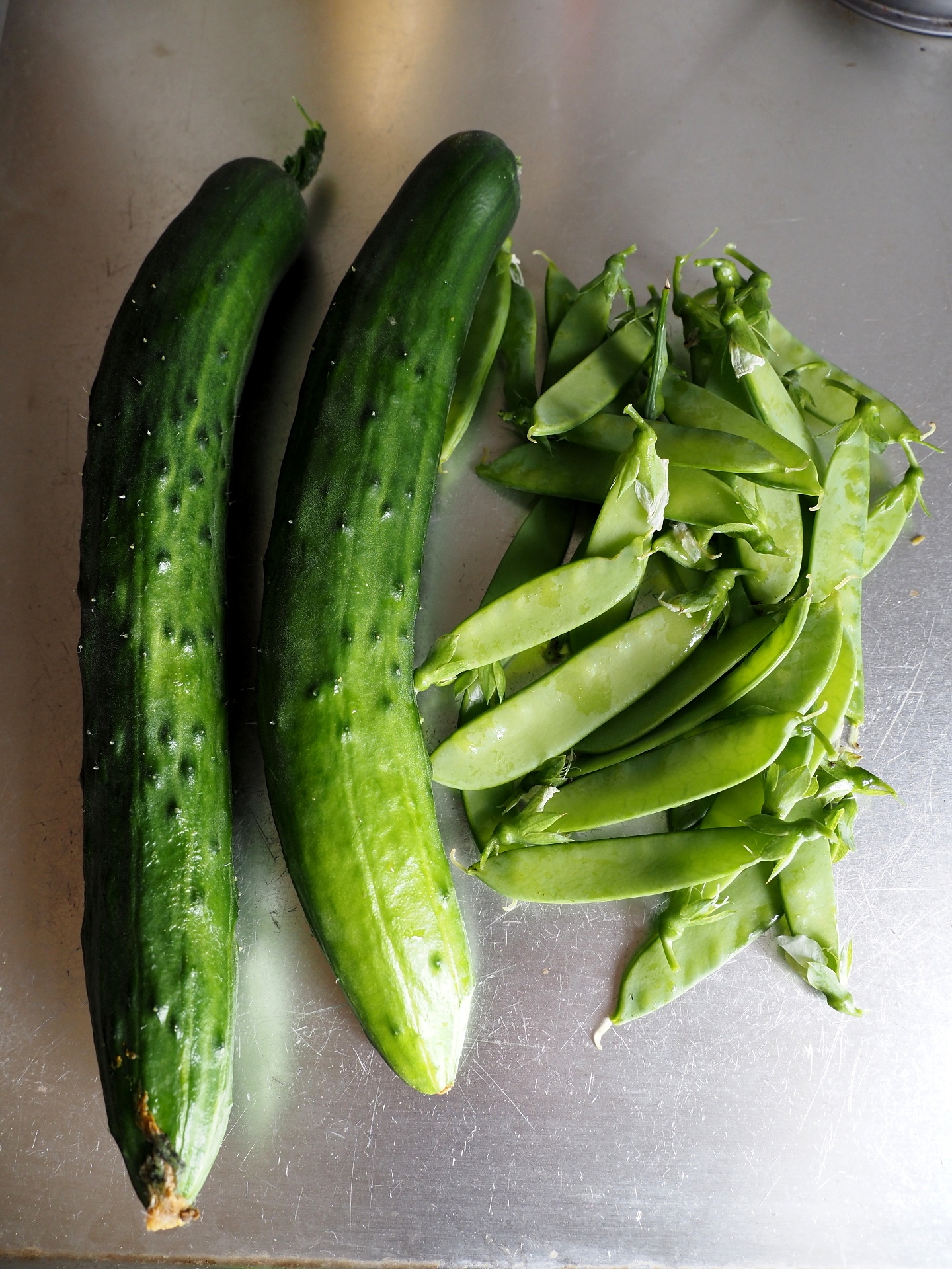 野菜収穫 我が家の花々 屋根の葺き替え契約 人間の２タイプ 楽園生活 の維持を目指して