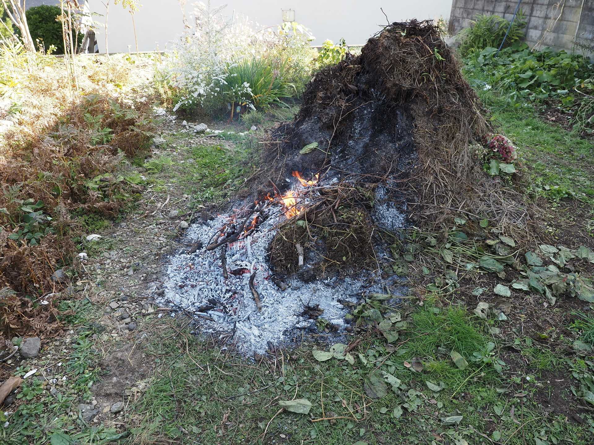 剪定した枝処理 焚火 日程表 楽園生活 の維持を目指して