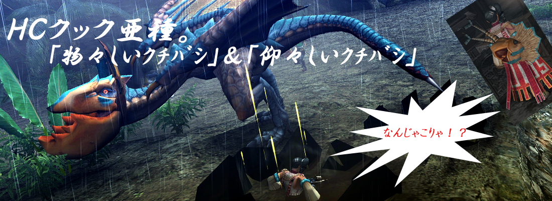 Hcクック亜種 物々しいクチバシ 仰々しいクチバシ ４０５の狩猟日記 徒然なるままに