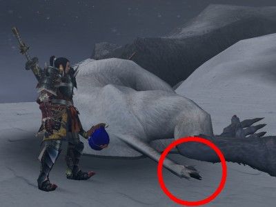 ドドブランゴの弱点 倒し方攻略 Mhxx モンスターハンターダブルクロス攻略データベース