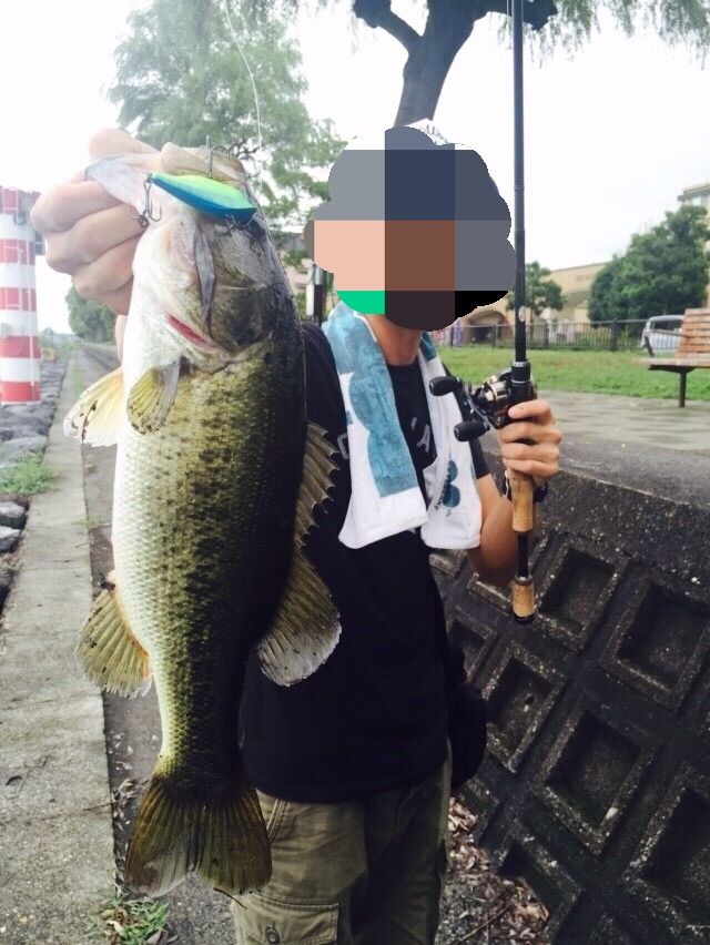 9 7 琵琶湖おかっぱり 巻物の秋 B A S S Mma Fishing 9 7 琵琶湖おかっぱり 巻物の秋 B A S S Mma Fishing