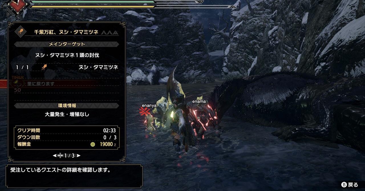 Mhrise エンドコンテンツはネームドガイジになることだぞ お前ら頑張れよ モンハン速報 モンハンライズ サンブレイクまとめ
