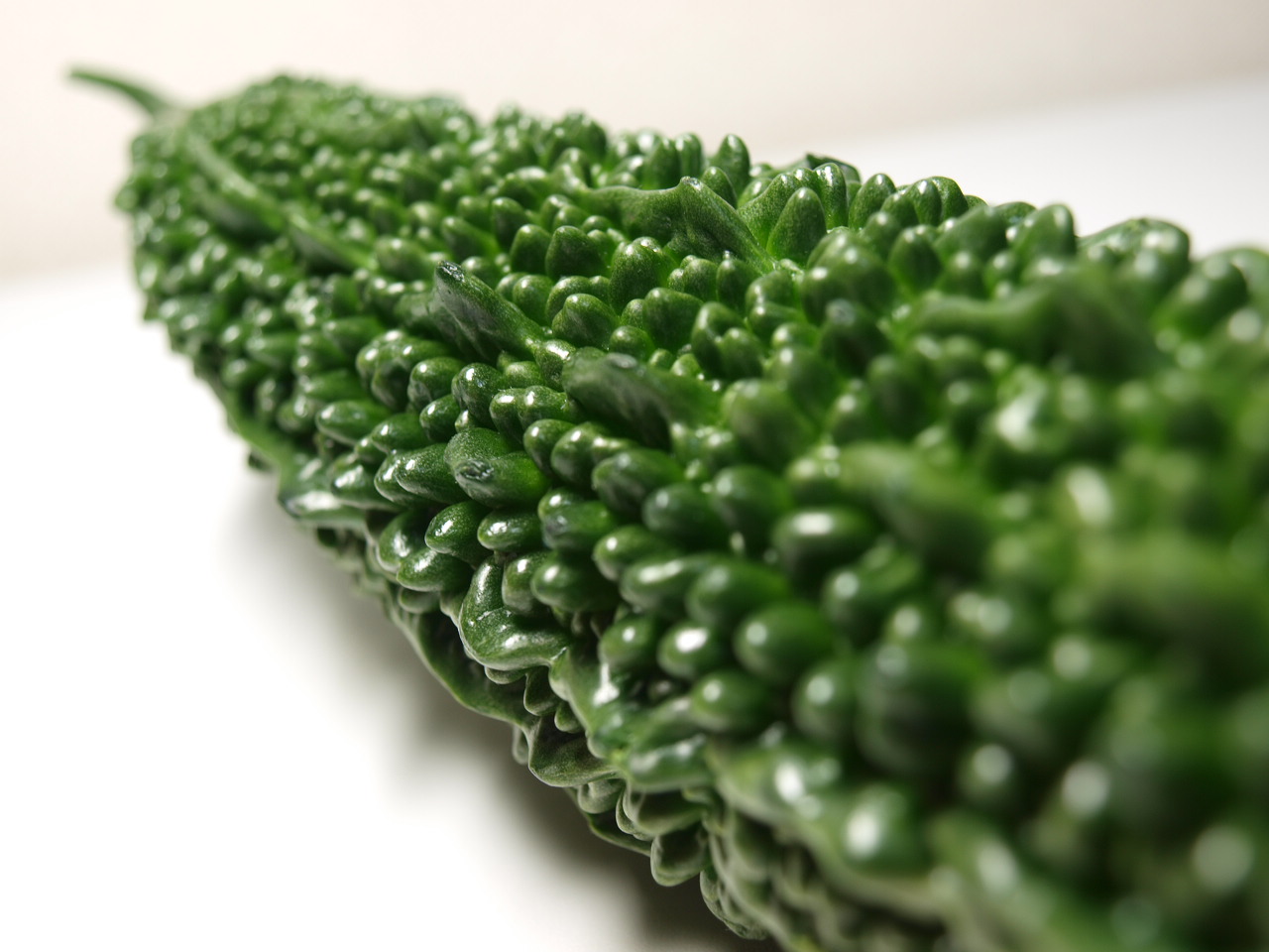 3ds Mh4 ゴーヤが出てきたんだけどｗｗｗｗｗｗｗｗ モンハン速報 モンハンライズまとめ