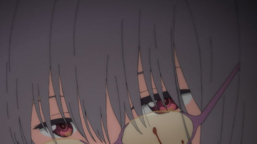 2603695