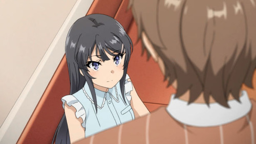  2494240