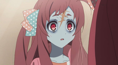2553242
