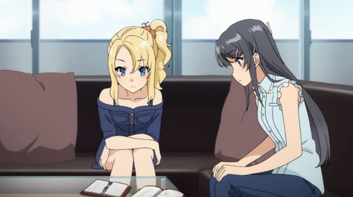 2531618