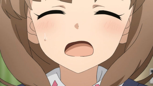 2632446
