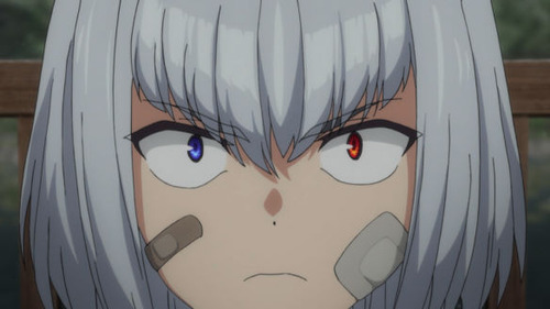 2639351