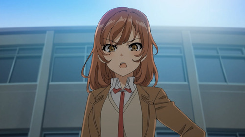 2311768