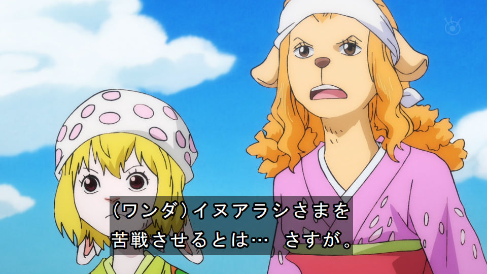 ワンピース アニメ感想 917話まとめ くノ一ナミさんエロすぎる キングとクイーンついに登場キター 動画 あにこぱす