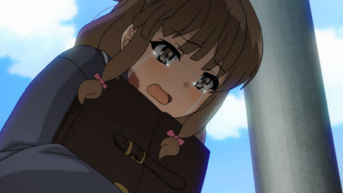 2633262