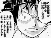 ワンピース ルフィ かっこいい名言