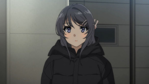 2666167
