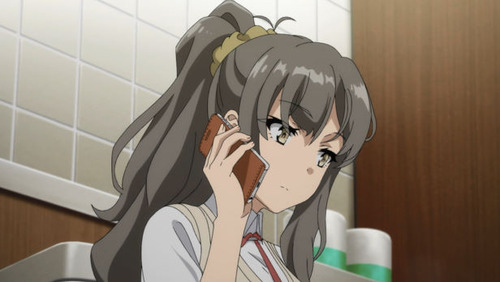  2493815