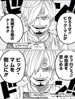 ワンピース サンジ クイーン撃破で懸賞金13億超えへ ネタバレ 1017話 あにこぱす ワンピース サンジ クイーン撃破で懸賞金13億超えへ ネタバレ 1017話 あにこぱす