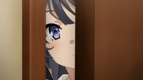 2598101